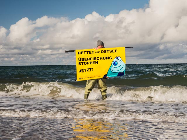 Rettet Die Ostsee, Überfischung Stoppen, Jetzt!