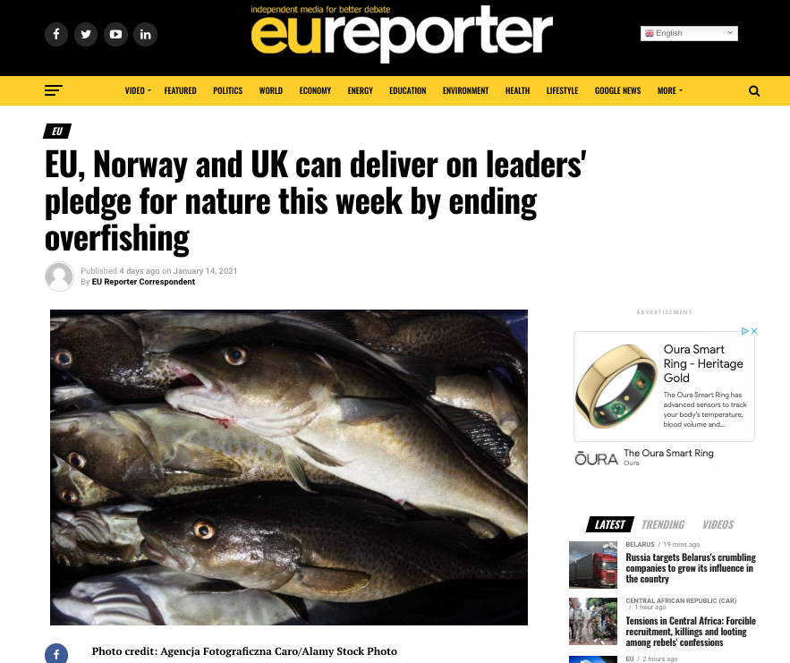 EU, Norway and UK can deliver on leaders' pledge for nature this week by ending overfishing