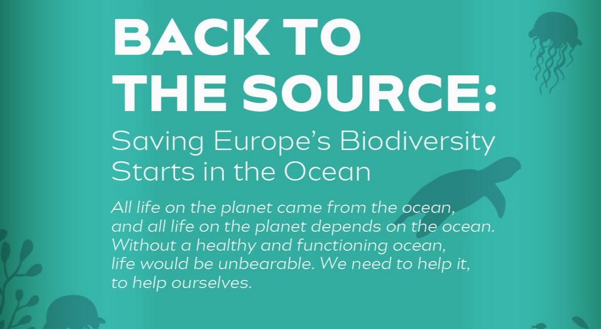 Back to the Source: Saving Europe's Biodiversity Starts in the Ocean