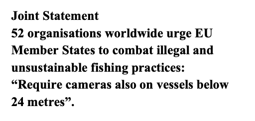 Joint Statement 52: organisations worldwide urge EU Member States to combat illegal and unsustainable fishing practices: “Require cameras also on vessels below 24 metres”.
