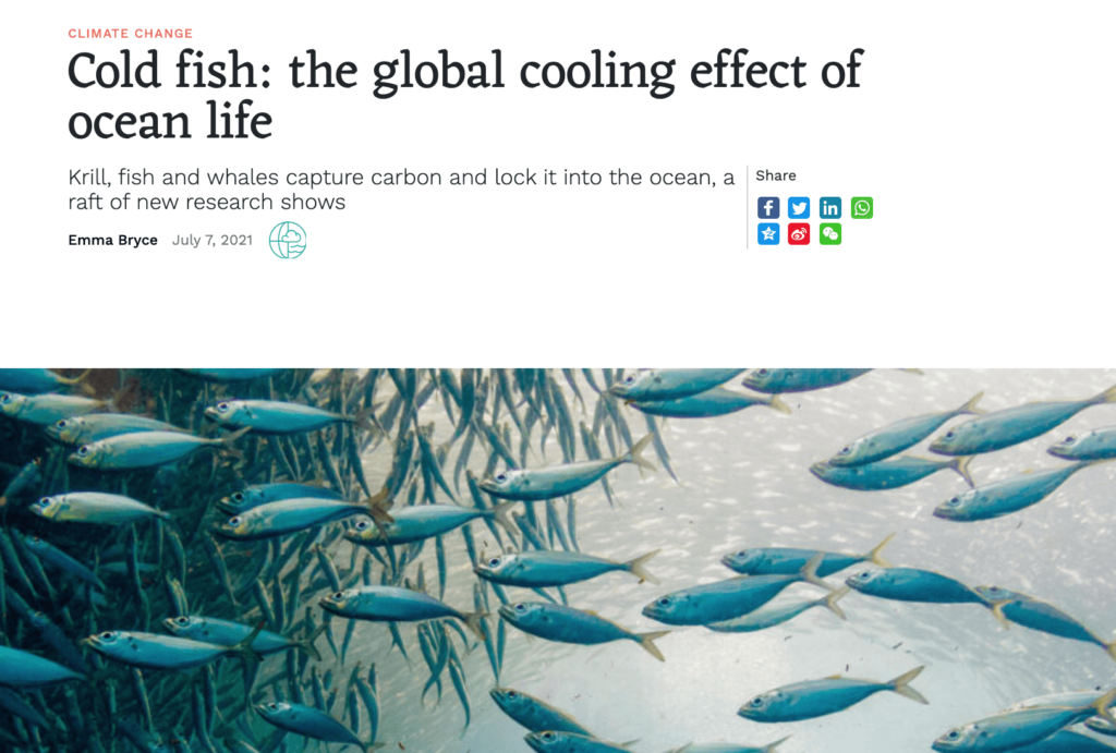 Cold fish: the global cooling effect of ocean life