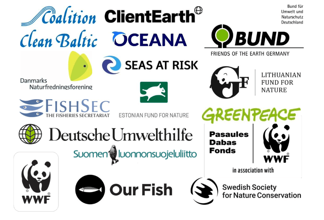 Joint NGO recommendations on Baltic Sea fishing opportunities for 2022