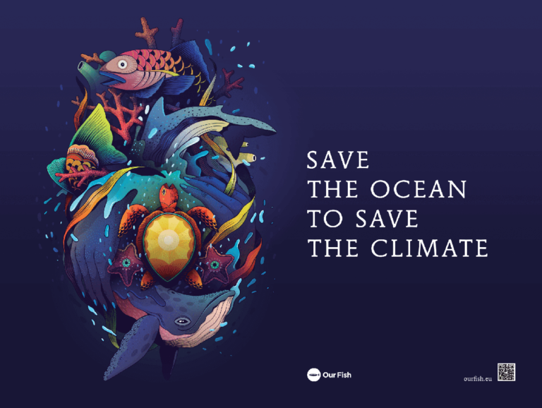 Fish and the Ocean Play A Crucial Role In Regulating Our Climate and ...