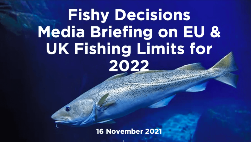 Fishy Decisions: Media Briefing on EU & UK Fishing Limits for 2022
