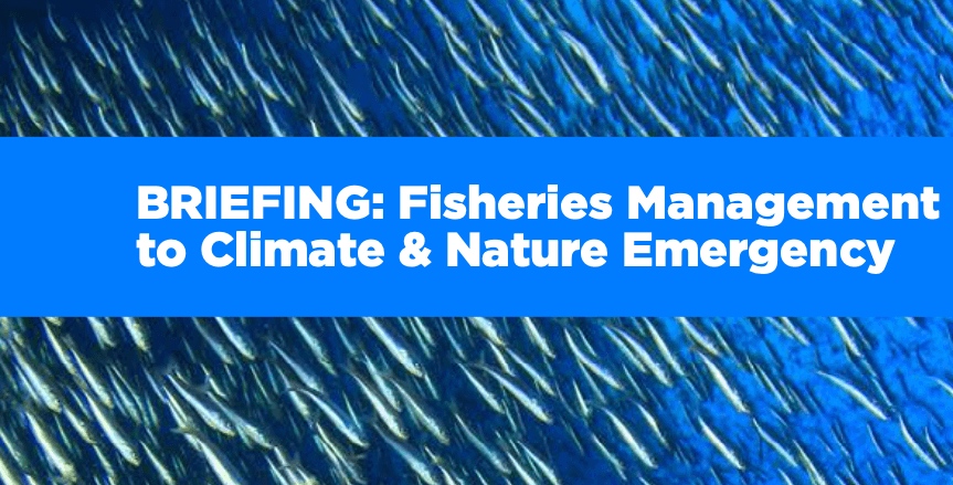 Briefing: Fisheries Management Responds to Climate & Nature Emergency