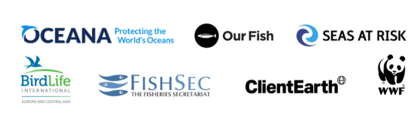 NGOs urge European Parliament to push for full implementation of Common Fisheries Policy