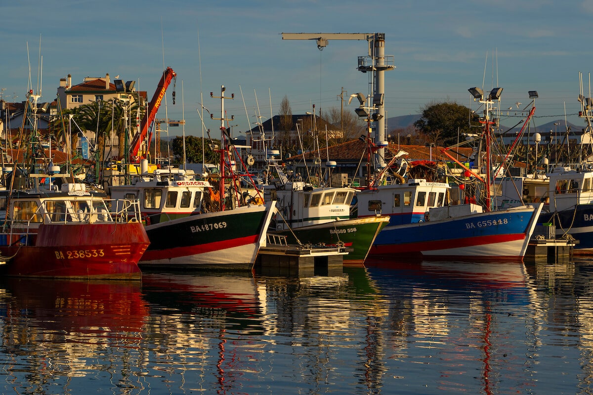 Small-scale fishing vessels in Saint-Jean de Luz, France. Photograph: Dave Walsh