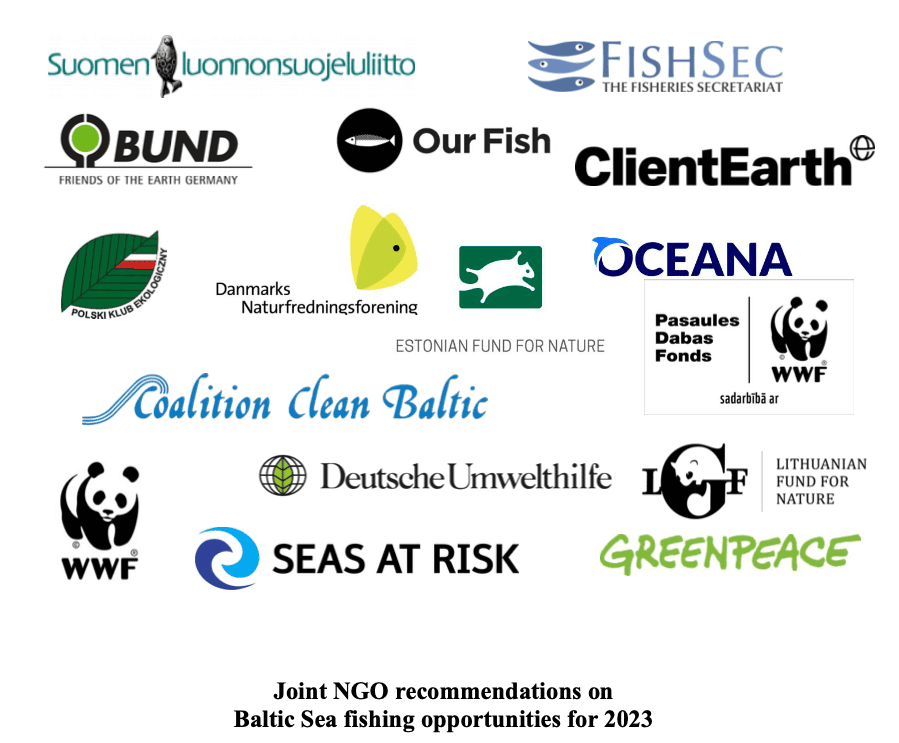 Joint NGO recommendations on Baltic Sea fishing opportunities for 2023