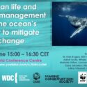 Bonn Climate Conference Event: How Ocean Life and Fisheries Management Impact the Ocean's Capacity to Mitigate Climate Change