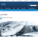 UNFCCC: Plenty of fish by Bec Hubbard