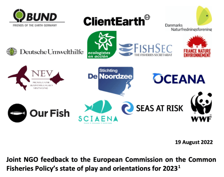 Joint NGO Feedback To The European Commission On The Common Fisheries ...