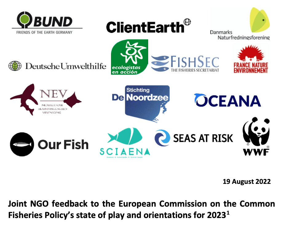 Joint NGO feedback to the European Commission on the Common Fisheries Policy’s state of play and orientations for 2023