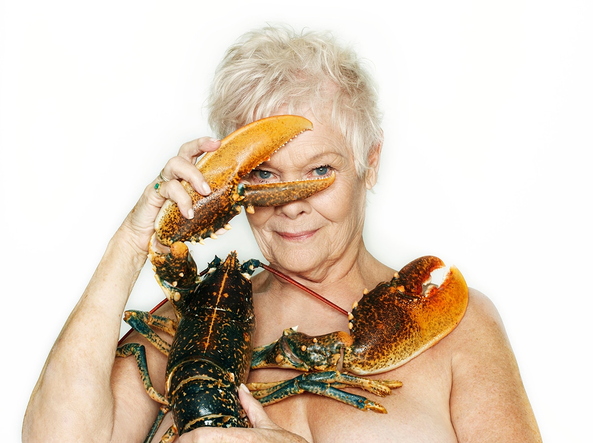 Fishlove, Judy Dench with lobster, John Swann 2015