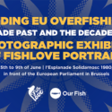 Ending EU Overfishing: The Decade Past and the Decade - Fishlove Exhibition in Brussels
