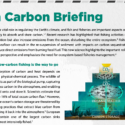 Ireland: Fish Carbon Briefing